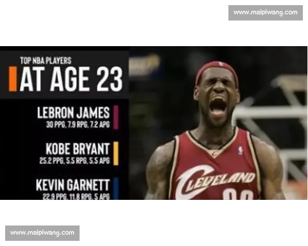 NBA球员表现与潜力综合评估方法研究与应用