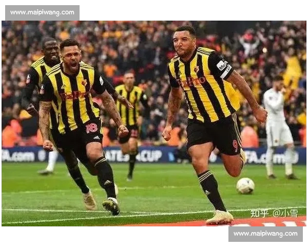 基于英超主客场表现数据的球队实力对比与赛季走势综合分析标题 基于英超主客场表现数据的球队实力对比与赛季走势综合分析标题